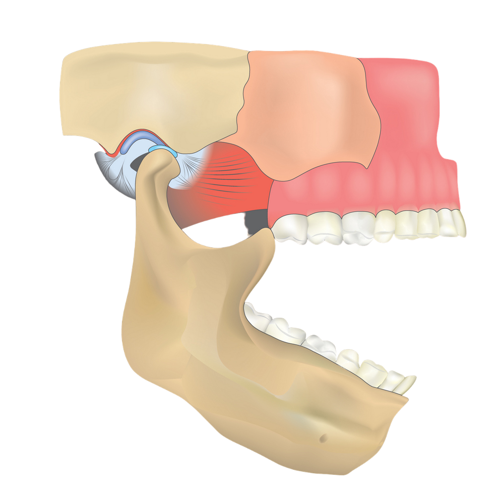 Щелкает челюсть при открытии рта и жевании — что делать?